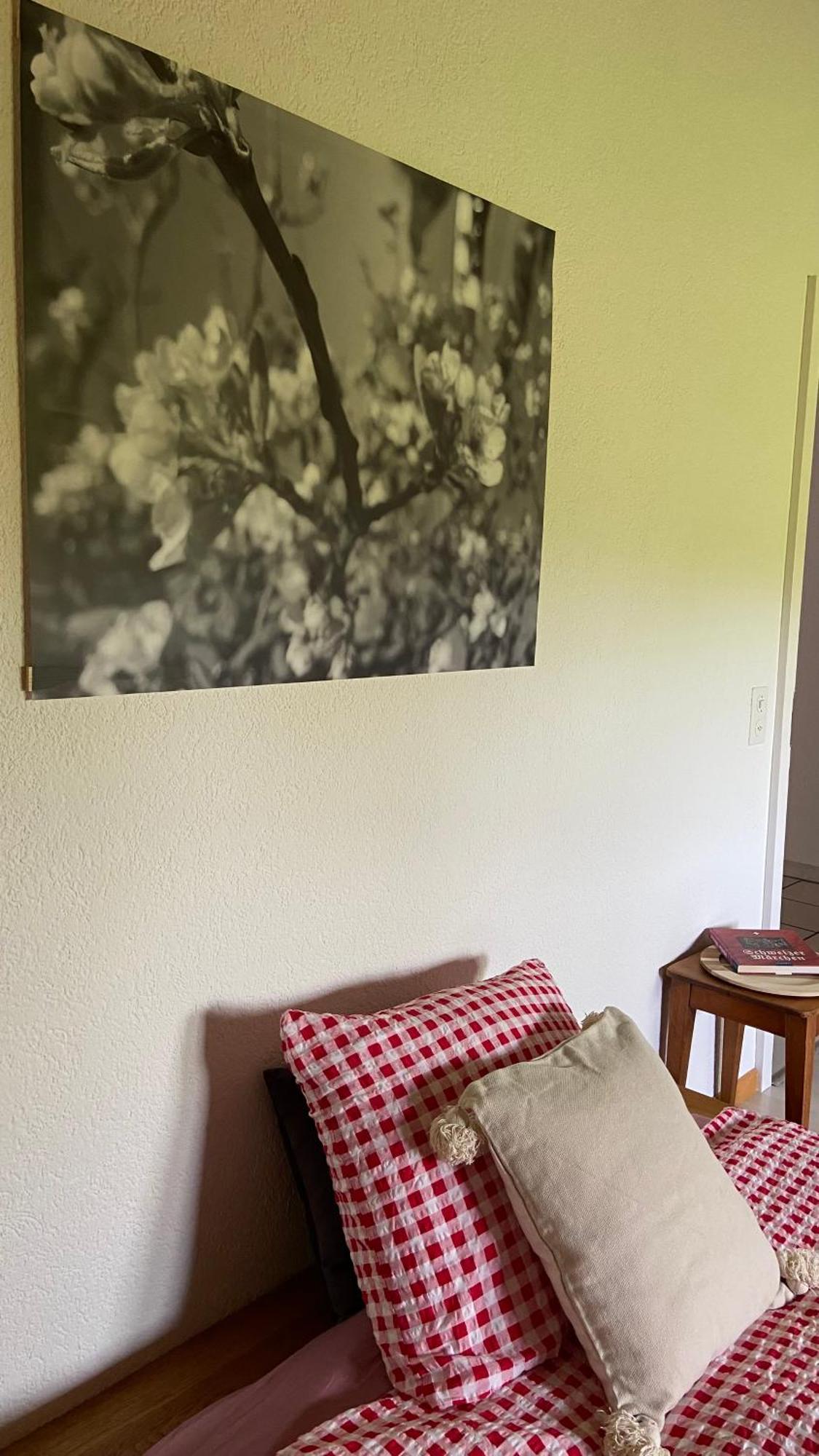 Naturnahe Familienwohnung Ruschegg Экстерьер фото